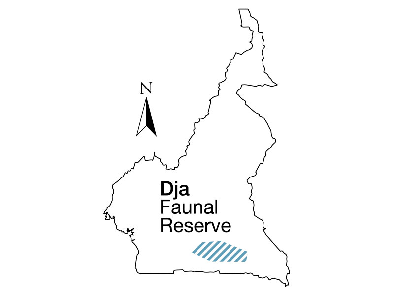 Dja River